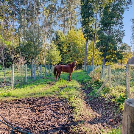 Casa Do Moinho Rural Campo E Praia , 9 Pessoas, Animais Benvindos Espinho  Eksteriør bilde