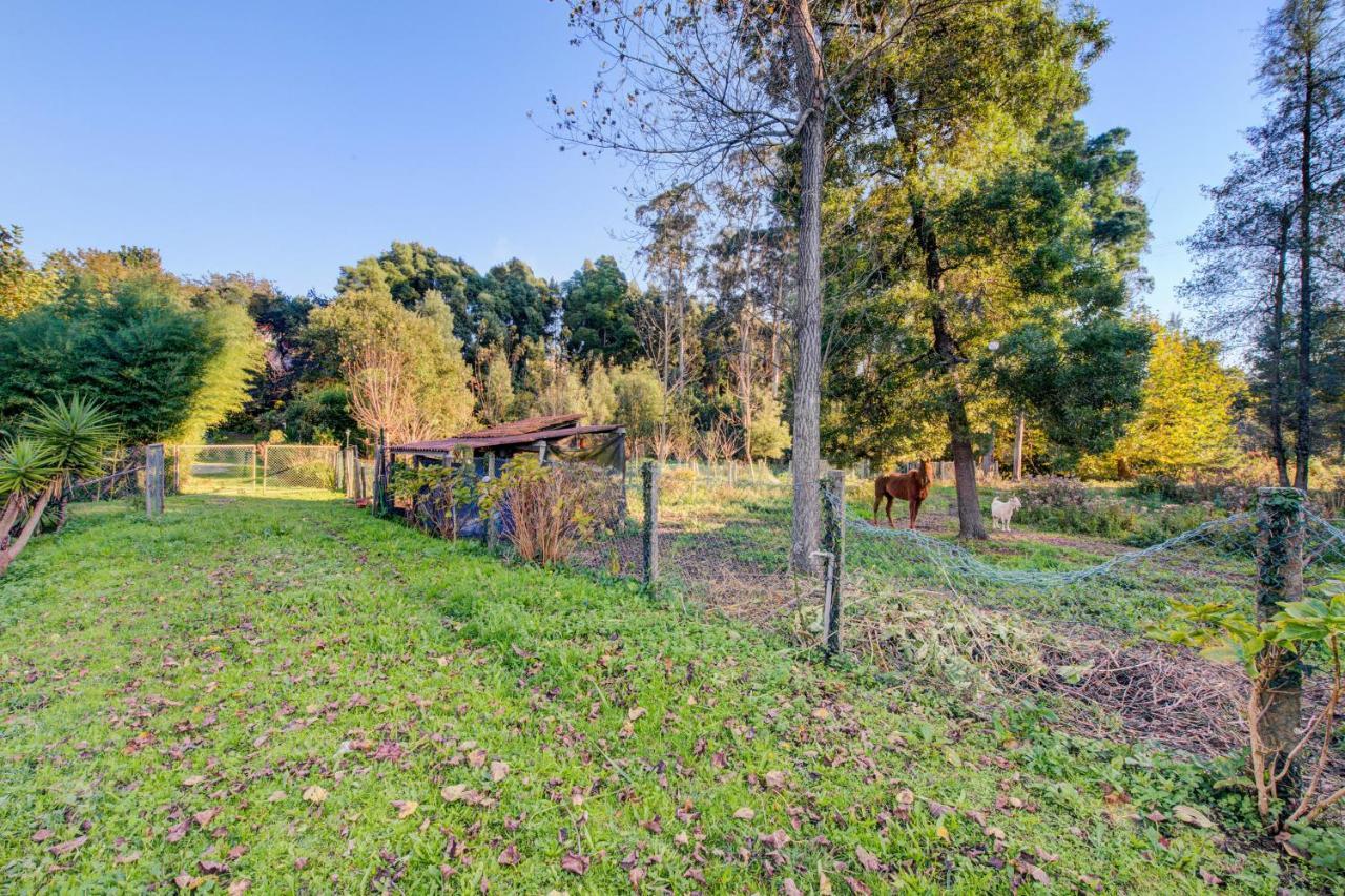 Casa Do Moinho Rural Campo E Praia , 9 Pessoas, Animais Benvindos Espinho  Eksteriør bilde