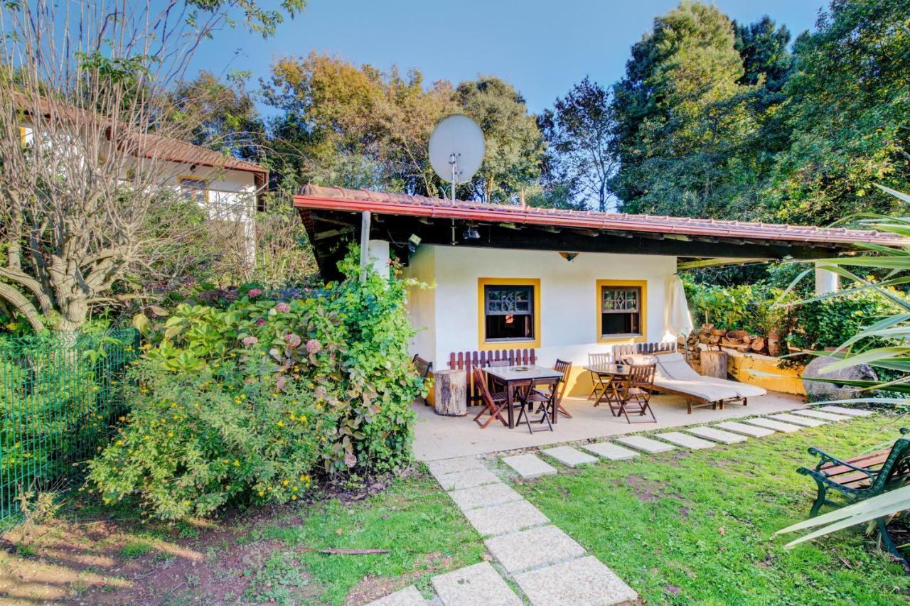Casa Do Moinho Rural Campo E Praia , 9 Pessoas, Animais Benvindos Espinho  Eksteriør bilde