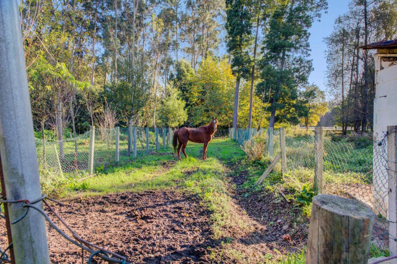 Casa Do Moinho Rural Campo E Praia , 9 Pessoas, Animais Benvindos Espinho  Eksteriør bilde