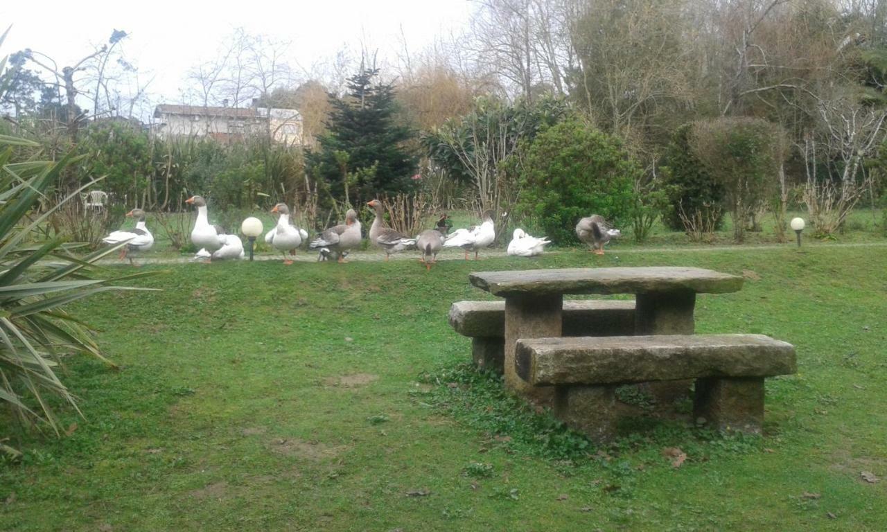 Casa Do Moinho Rural Campo E Praia , 9 Pessoas, Animais Benvindos Espinho  Eksteriør bilde